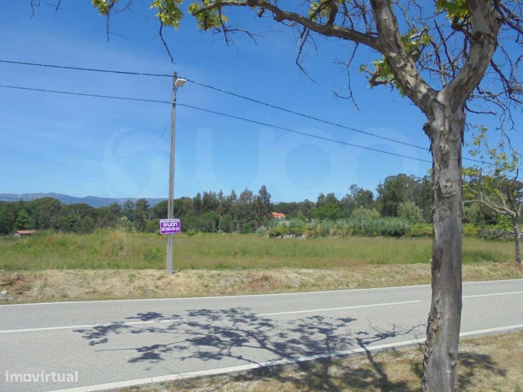 Terrenos Rústicos Tondela - Grande imagem: 3/8