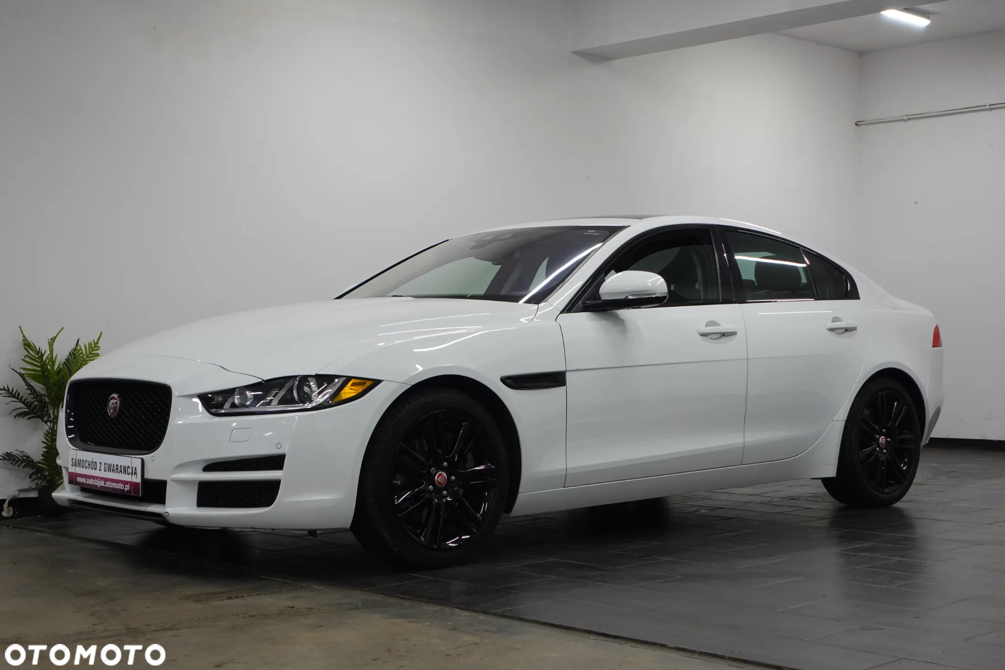 Jaguar XE 2.0 T Prestige - 4