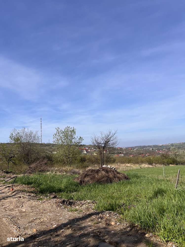 Teren intravilan plat zona deal str. Sofiei toate utilitatile-6