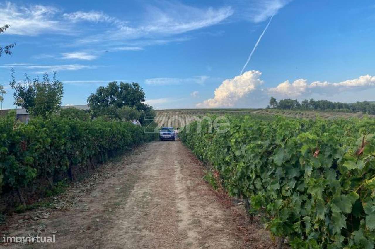 Terreno rústico com 23450 m² de área - Grande imagem: 2/11