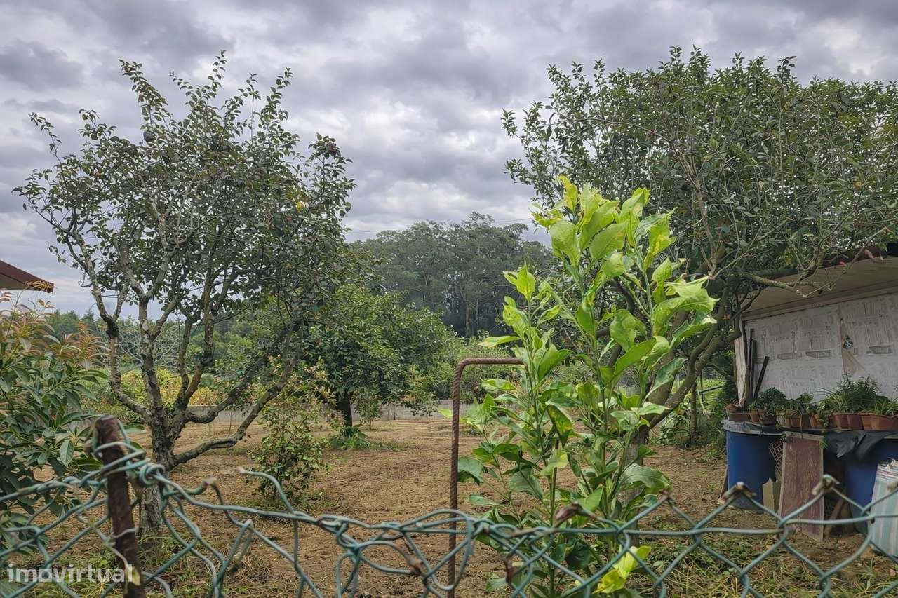 Moradia T4 exclusiva | Piscina| Zona Agrícola | Junto à Praia-57