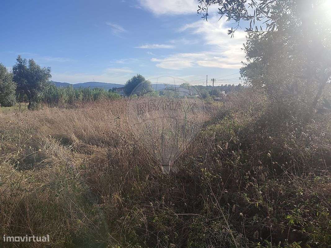 Terreno  para venda-3