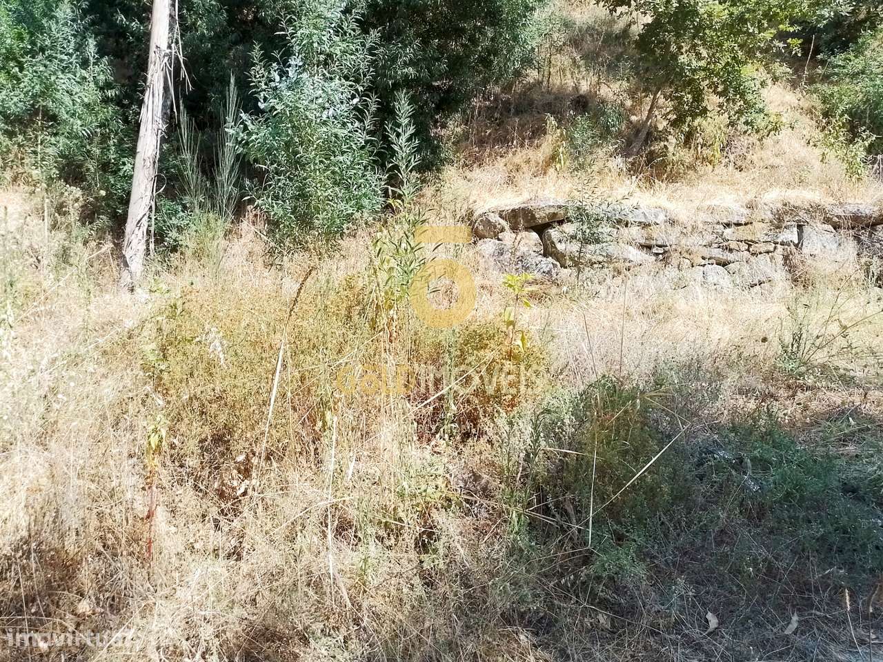 Terreno Rústico  Venda em São Cristóvão de Nogueira,Cinfães - Grande imagem: 4/11