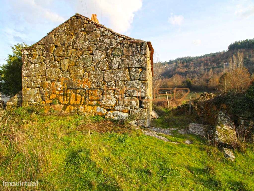 Quinta de 2ha com várias edificações - Terreno Plano-7