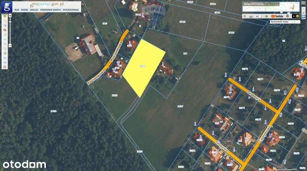 Działka budowlana z warunkami zabudowy. - Pełny obrazek: 3/5