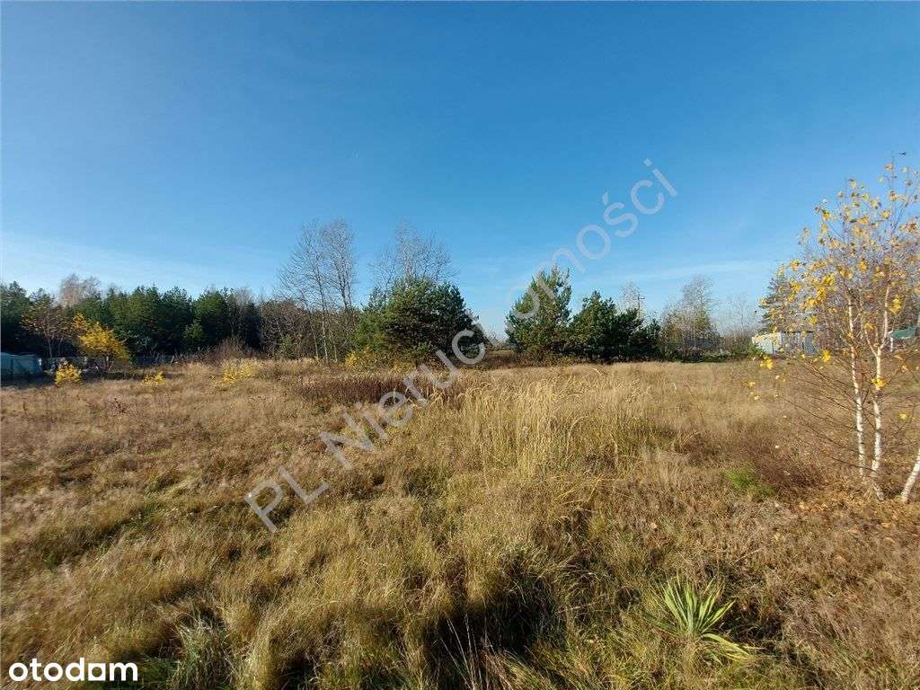 Działka Na Wymarzony Dom, Skrzynka Z Prądem I Siłą - Pełny obrazek: 5/12