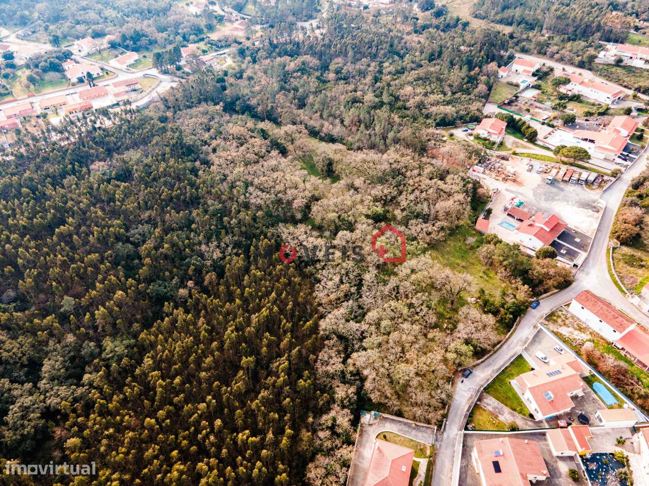 Terreno - Covão Alto - Aljubarrota - Grande imagem: 3/37