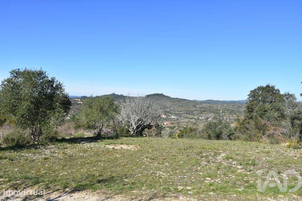 Terreno em Chãos de 2000,00 m2 - Grande imagem: 5/27