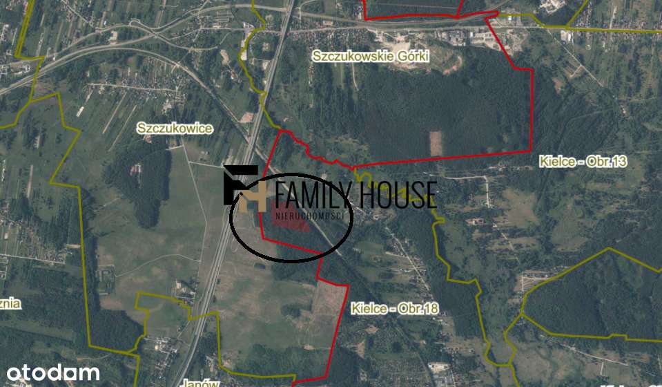 Duży las 4 h pod Kielcami bogata w pokłady piasku - Pełny obrazek: 2/2