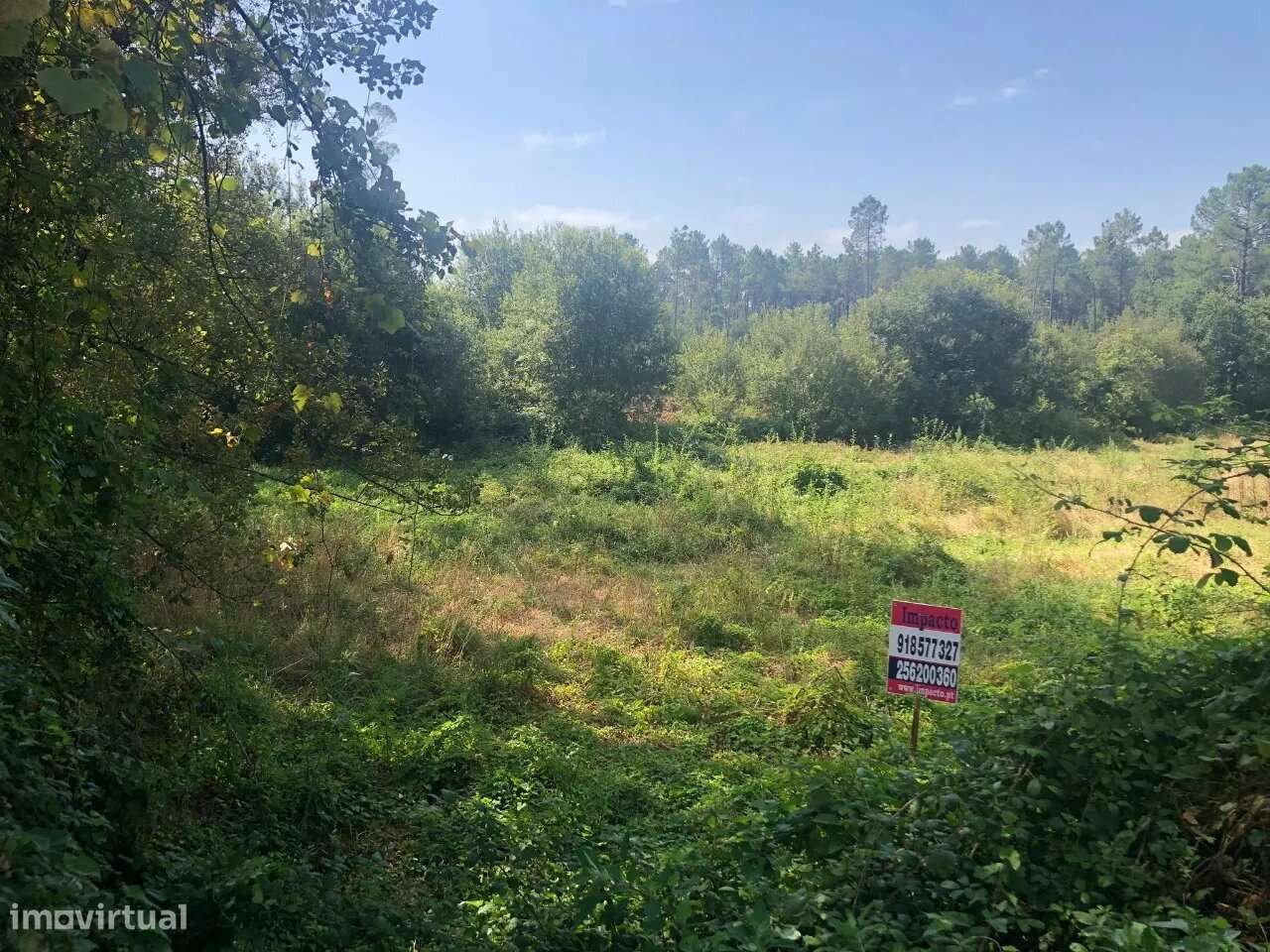 Terreno lugar Cortinha - Pigeiros, Santa Maria da Feira - Grande imagem: 4/8