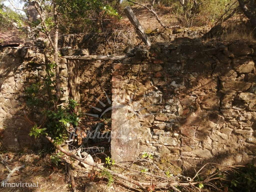 Terreno Misto - 9,975 Hectares - Grande imagem: 4/6