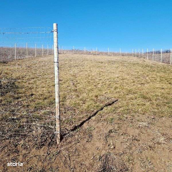 Teren intravilan Sura Mare 504mp - Imagine principală: 5/8