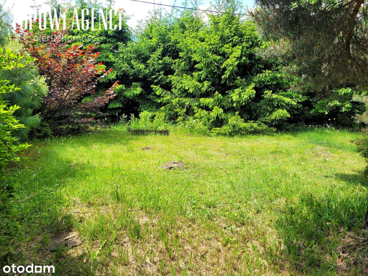 Działki budowlane 13 000m2, z Mpzp, gmina Nadarzyn - Pełny obrazek: 5/7