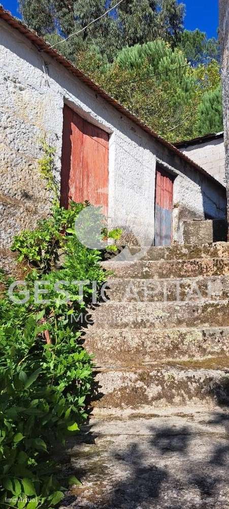 Quinta com vista rio Tâmega e duas moradias para recuperar-23