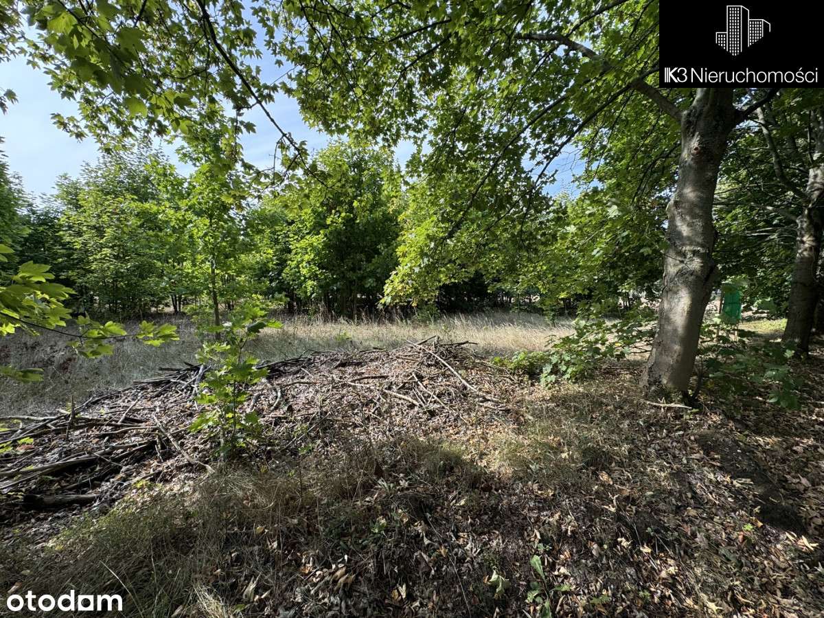 Działka Budowlana Siemiątkowo, Ul. Padlewskiego - Pełny obrazek: 5/10