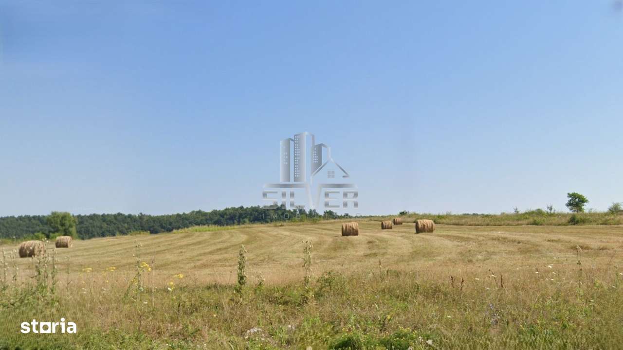 Teren intravilan in Topa Mica. - Imagine principală: 4/4