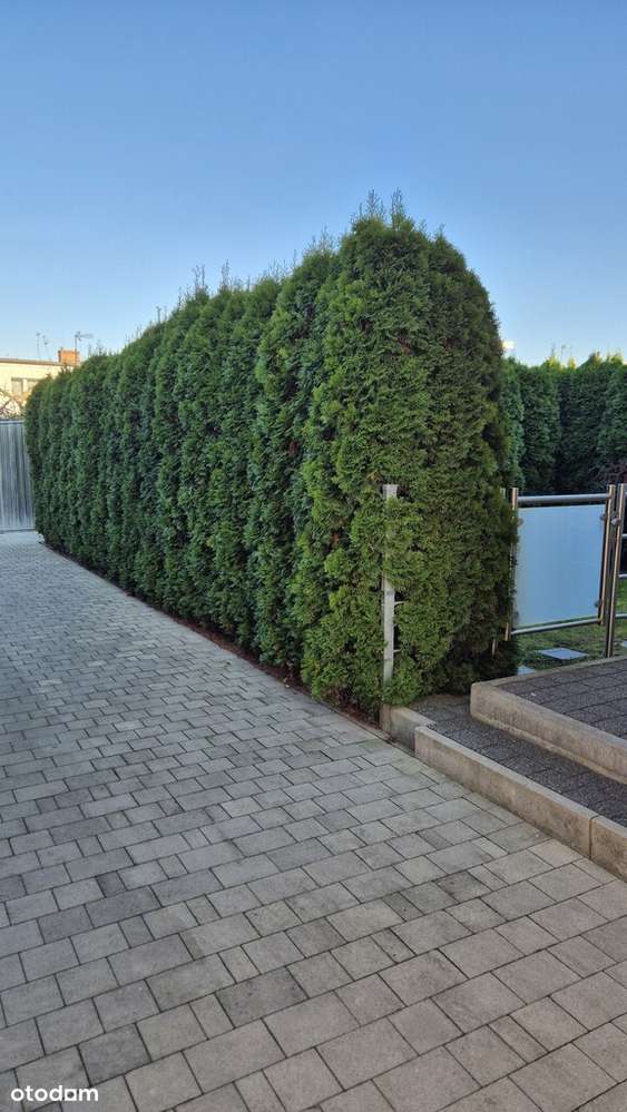 dwupoziomowe z ogródkiem i garażem na Plewiskach-18