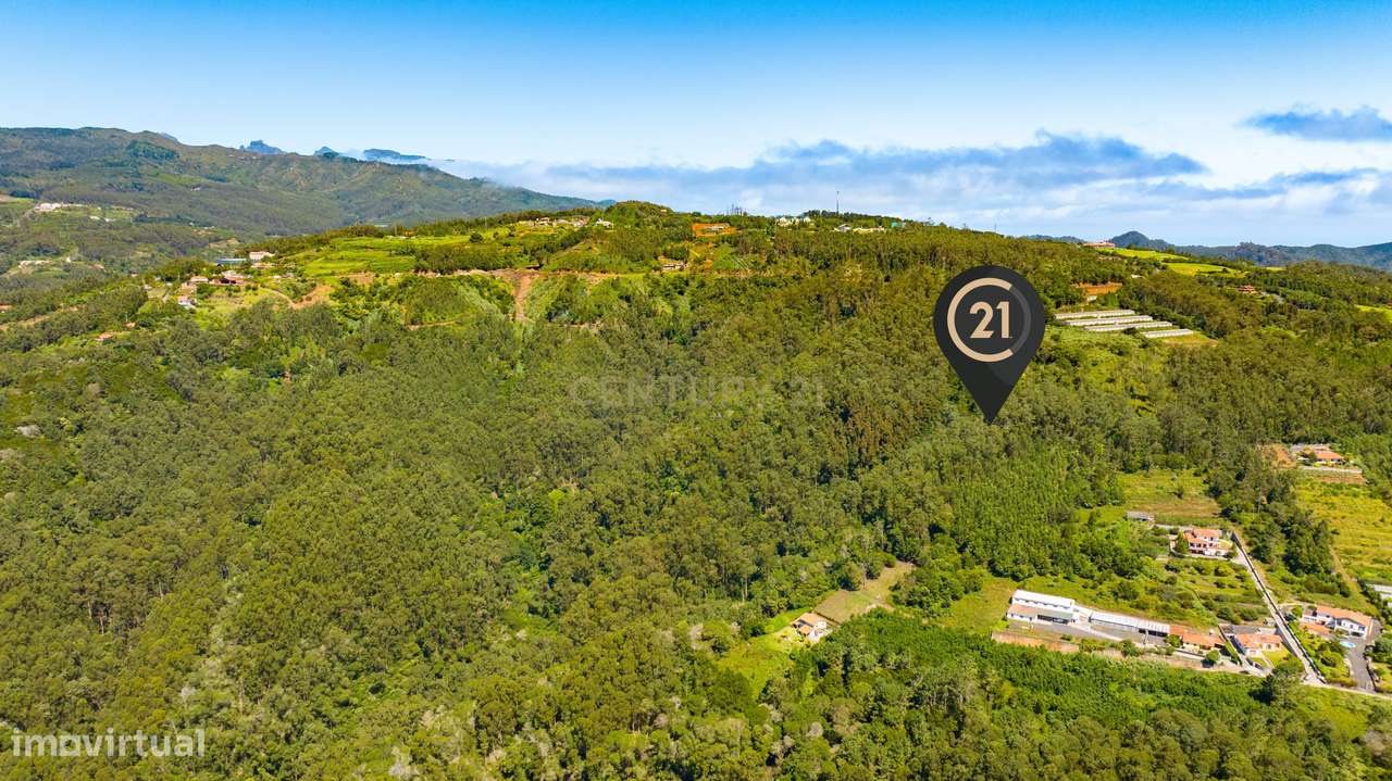 Terreno Rústico de 1150 m2 - Santa Cruz, Madeira - Grande imagem: 4/12
