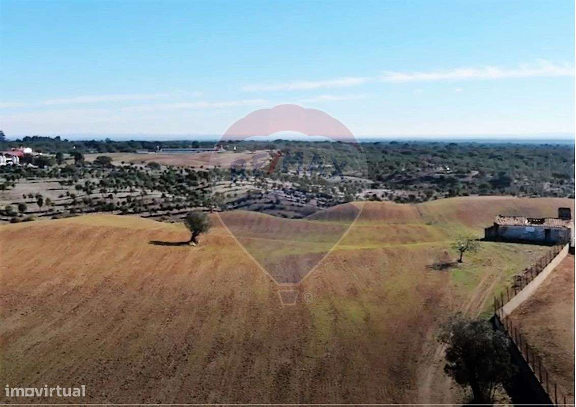 Quinta T3 para venda-9