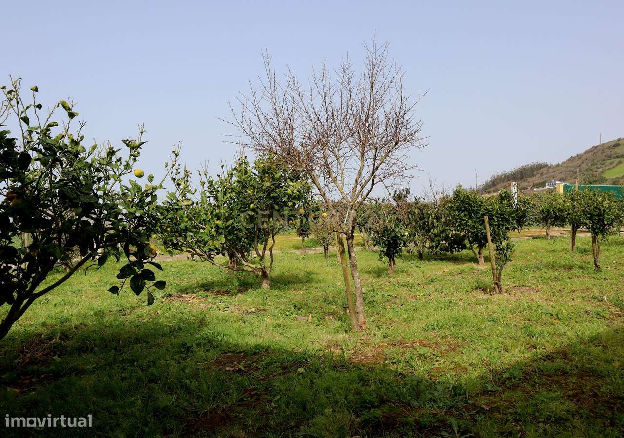Encantadora Quinta em Mafra com Vista Mar e Serra – Piscina, Anexos e-40