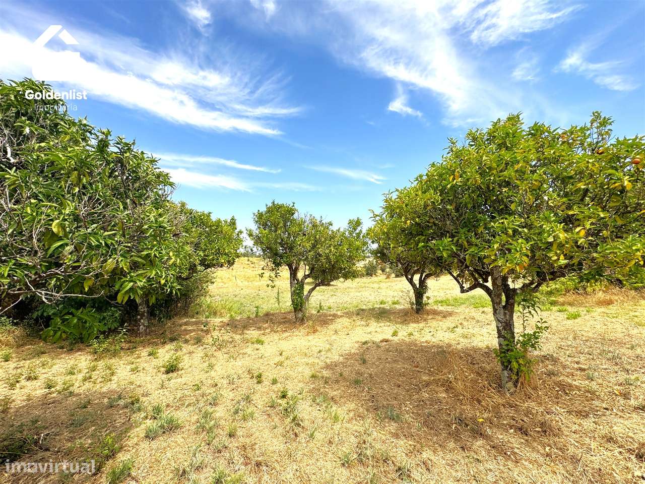 Quintinha  Venda em Escalos de Cima e Lousa,Castelo Branco-20