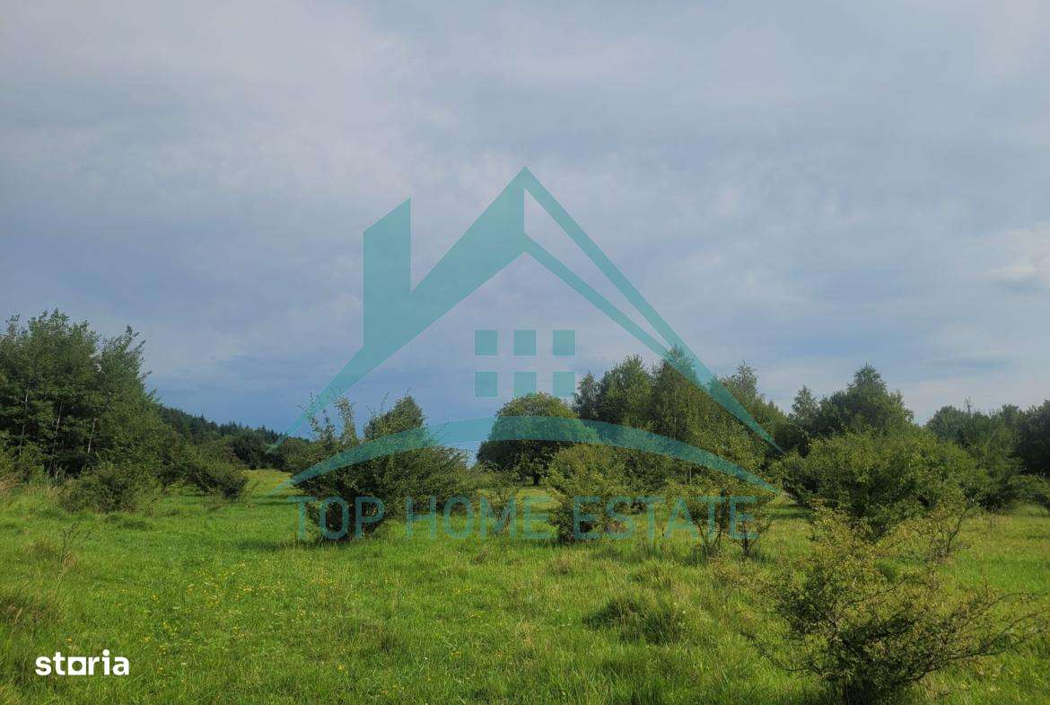 Teren pentru cabana/pensiune zona Lac Micesti!-10
