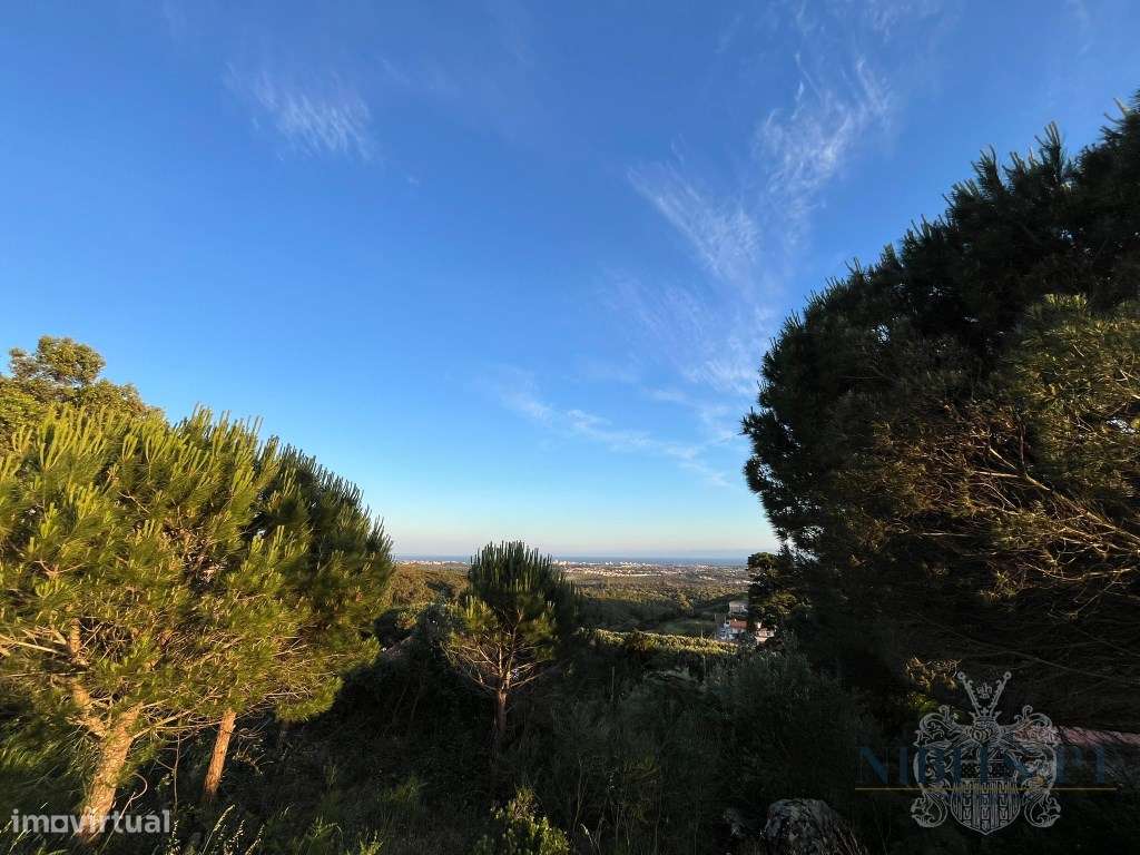 VENDE-SE: Moradia com Vista Mar Isolada na Elevada Malveira da Serr...-10
