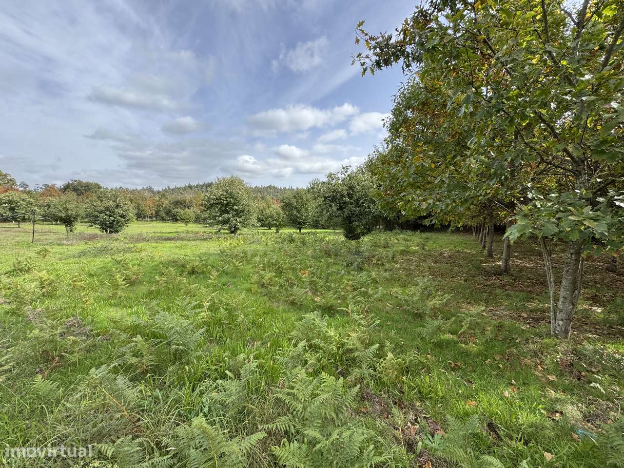 Moradia, 140 m², Molelos-36