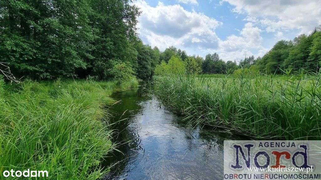 Działka przy rzece Czarna Hańcza - Pełny obrazek: 5/5