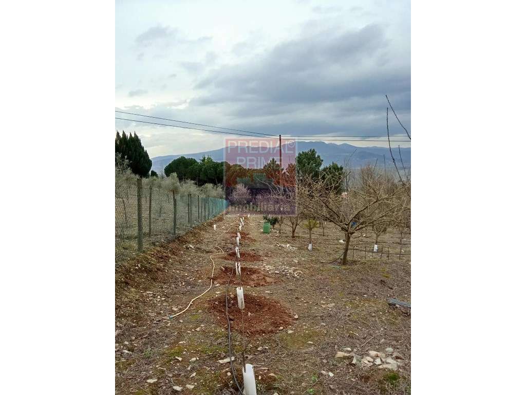 Andar moradia em Peso da Régua-45