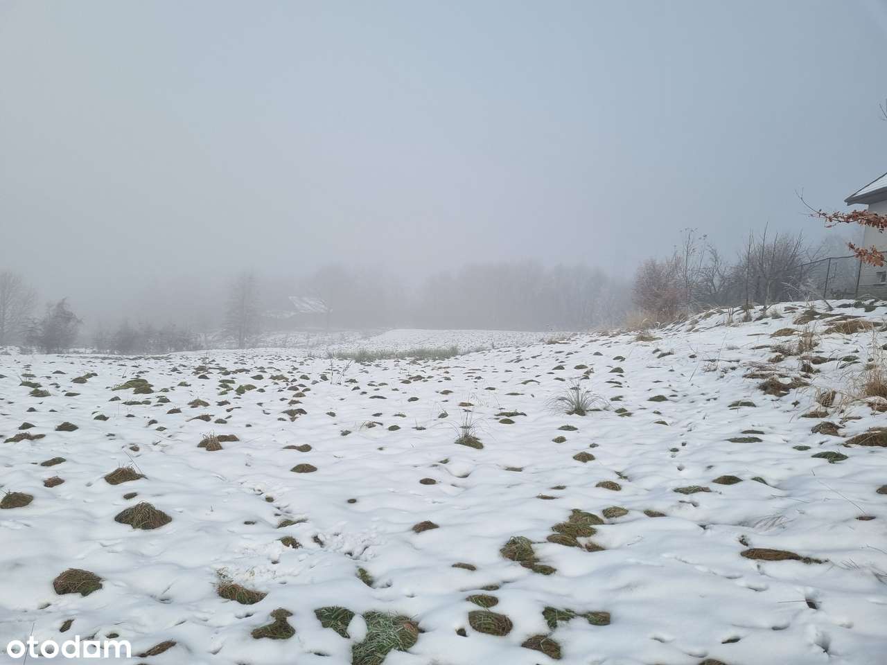 Działka inwestycyjna-1