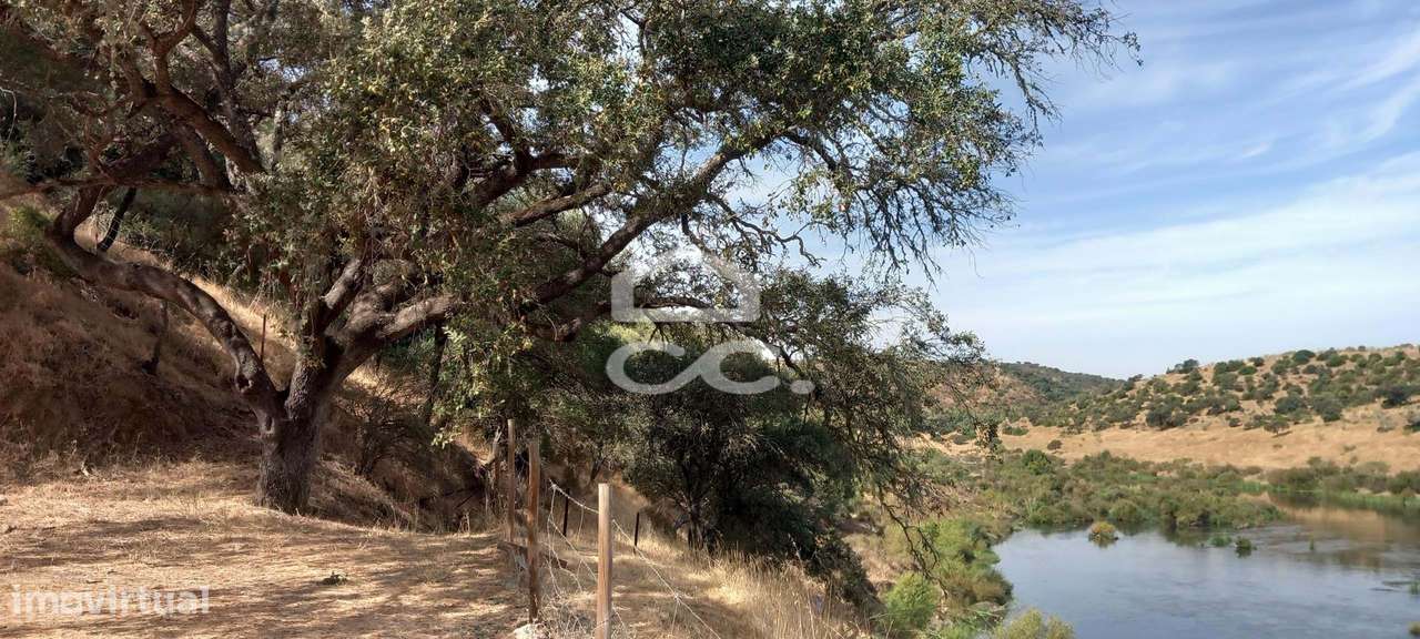 Magnifica Quinta com vista para o Rio Guadiana-32