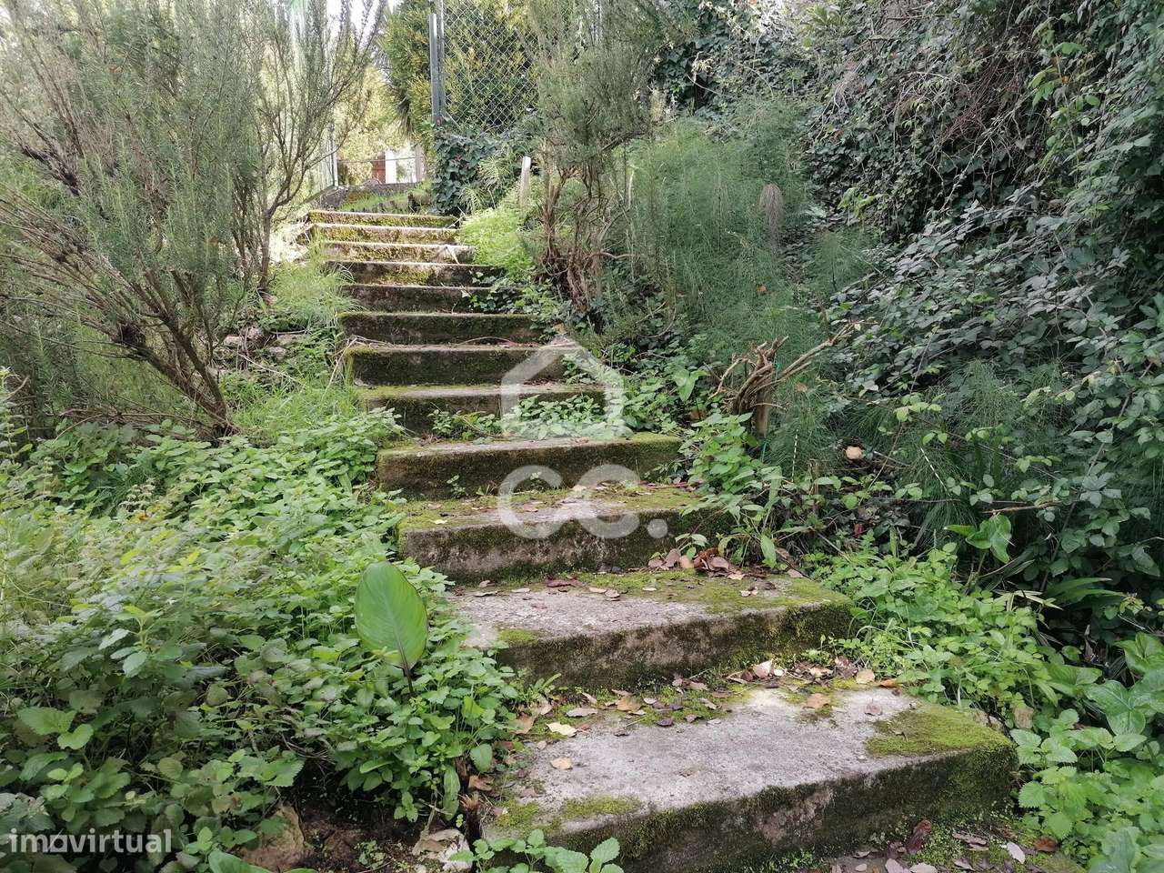 Quintinha de charme com piscina em lote de 7562,60 m² no Cadaval — um-50