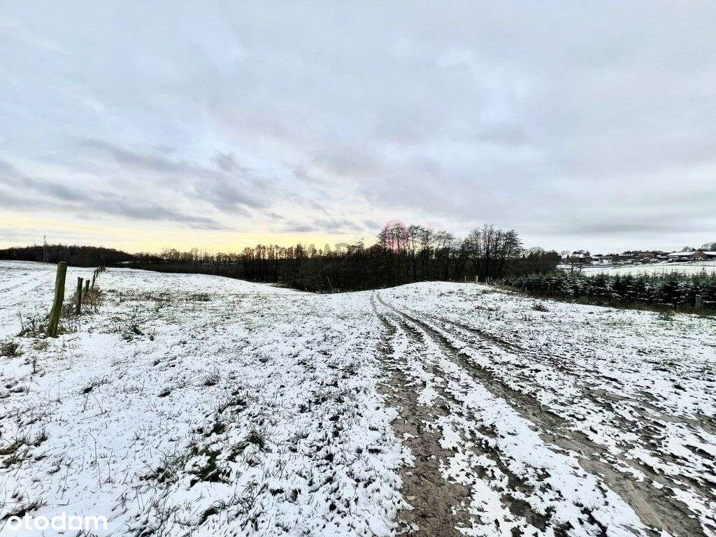 Duża działka w Kołowie! - Pełny obrazek: 5/8