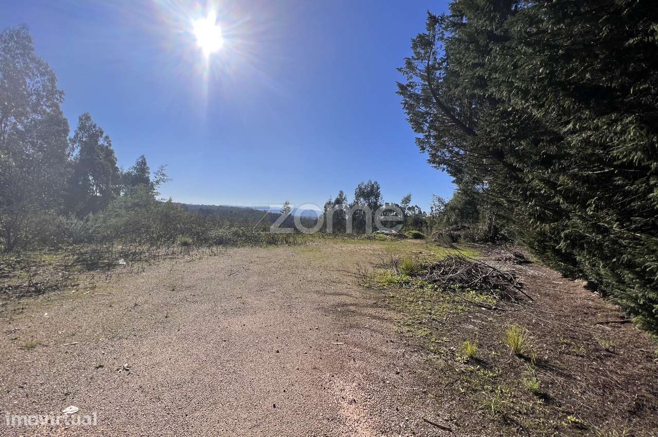 Terreno com 7550m2 em Antanhol - Grande imagem: 4/16