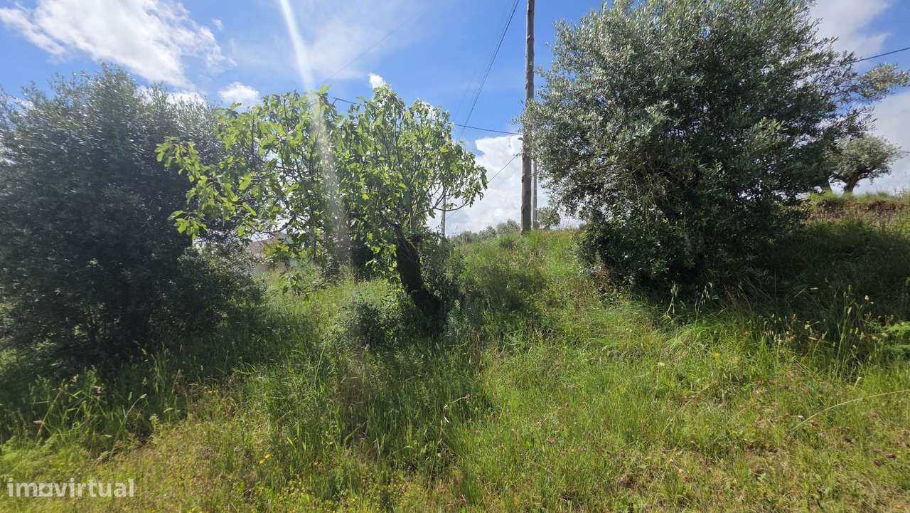 Excelente Terreno para Moradia a 5 kms de Tomar-27