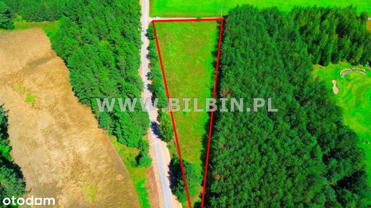 Działka letniskowa przy jeziorze ! - Pełny obrazek: 4/9