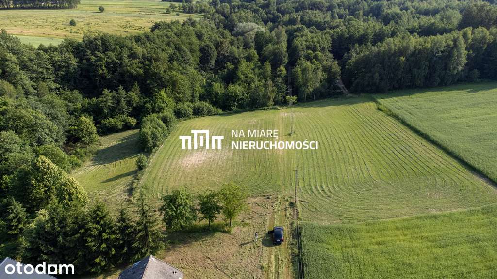 WZ I Media I Spokojna okolica - Pełny obrazek: 5/9