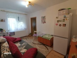 Apartament de vânzare 2 camere - Tineretului