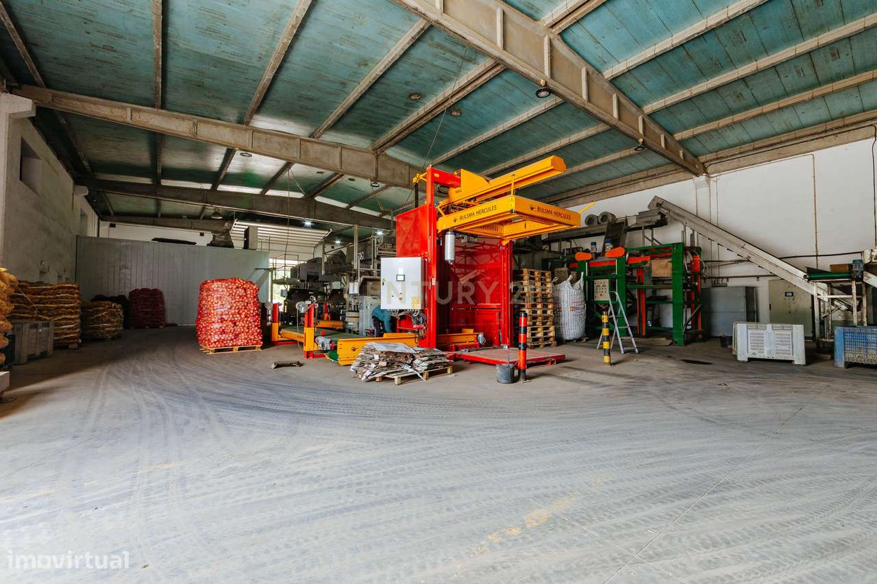 Armazém industrial equipado em Pegões, Montijo. - Grande imagem: 5/20