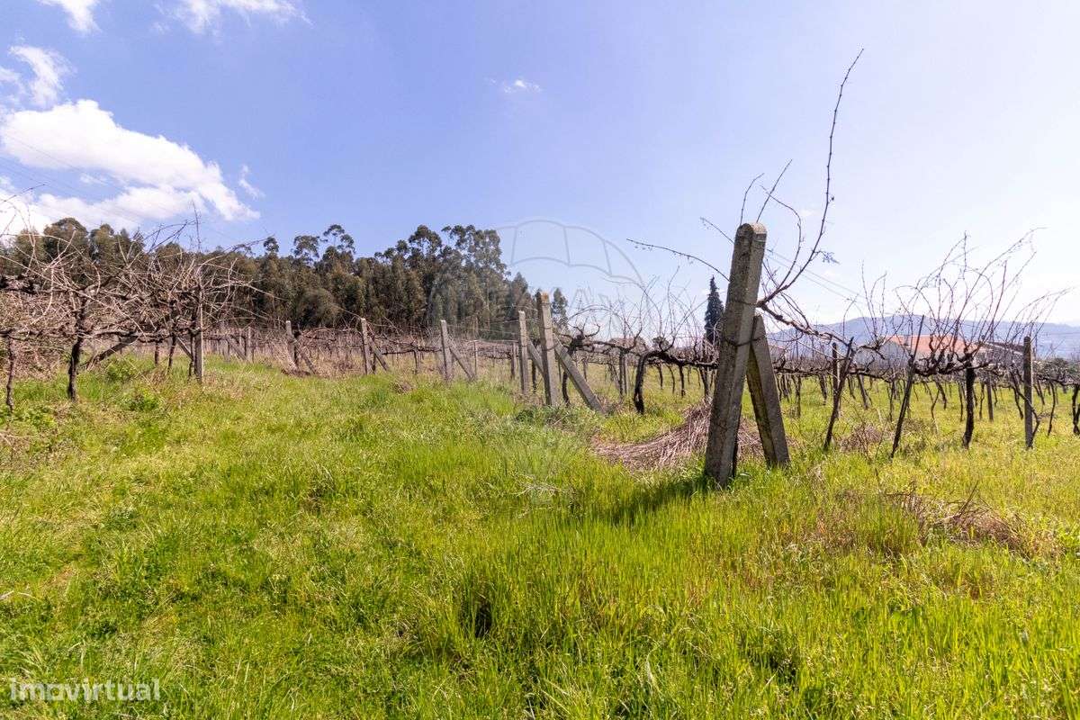 Terreno  para venda - Grande imagem: 4/30