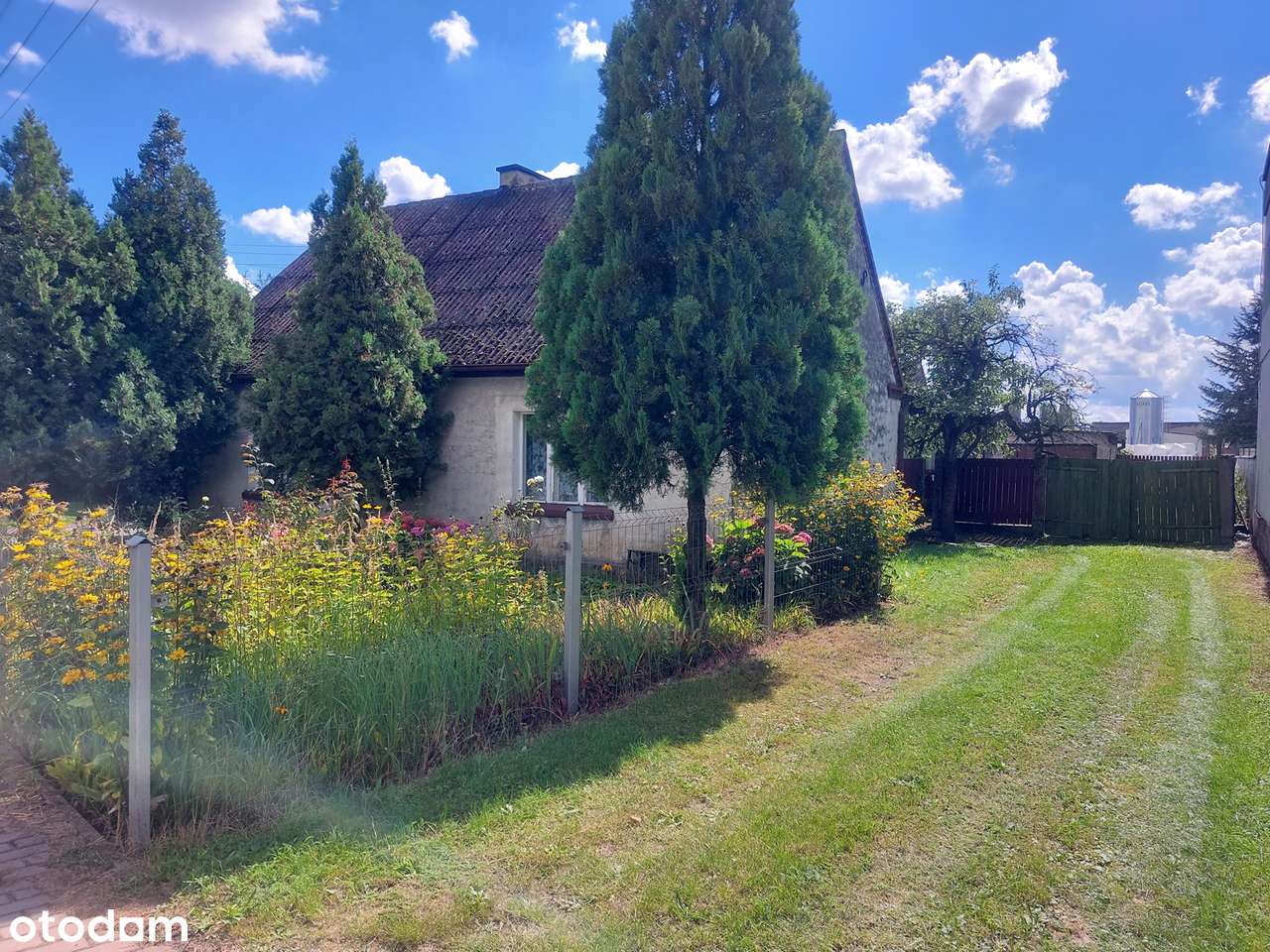 małe gospodarstwo ,Pniewy, Lwówek-5