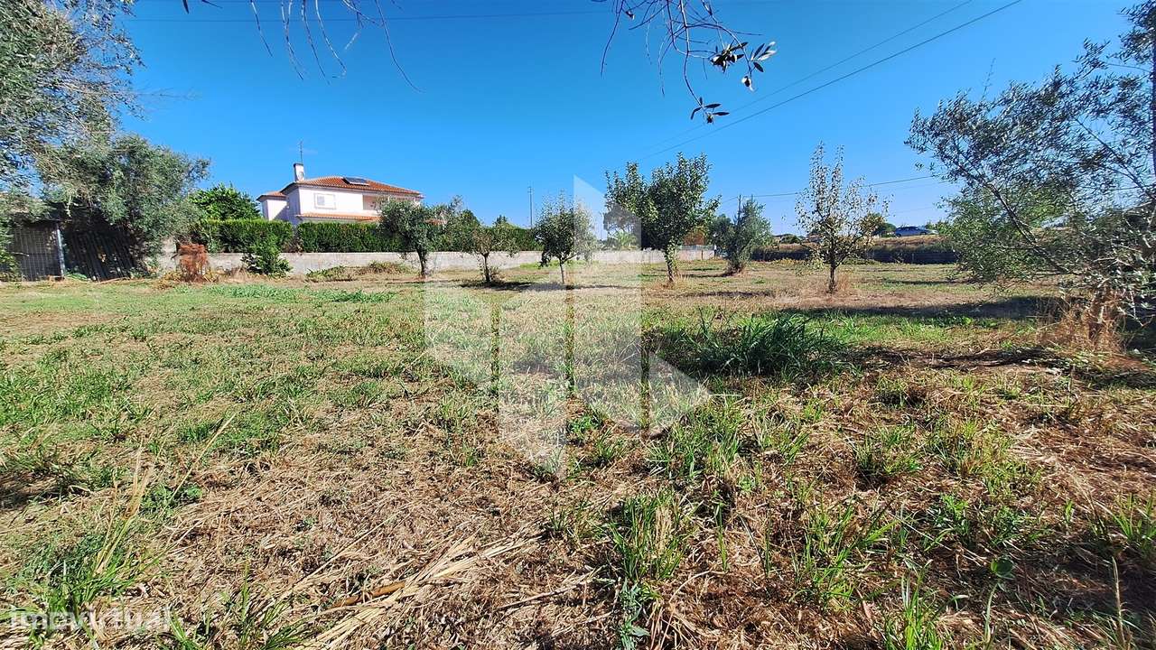 Terreno Para Construção  Venda em Molelos,Tondela - Grande imagem: 4/7