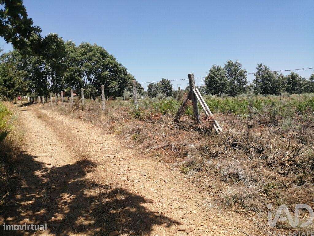 Terreno em Sabugal e Aldeia de Santo António de 56170,00 m2 - Grande imagem: 3/24