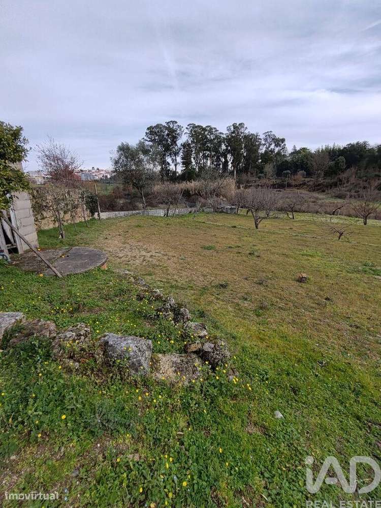 Quinta em Oliveira do Hospital e São Paio de Gramaços de 94,00 m2 - Grande imagem: 5/5