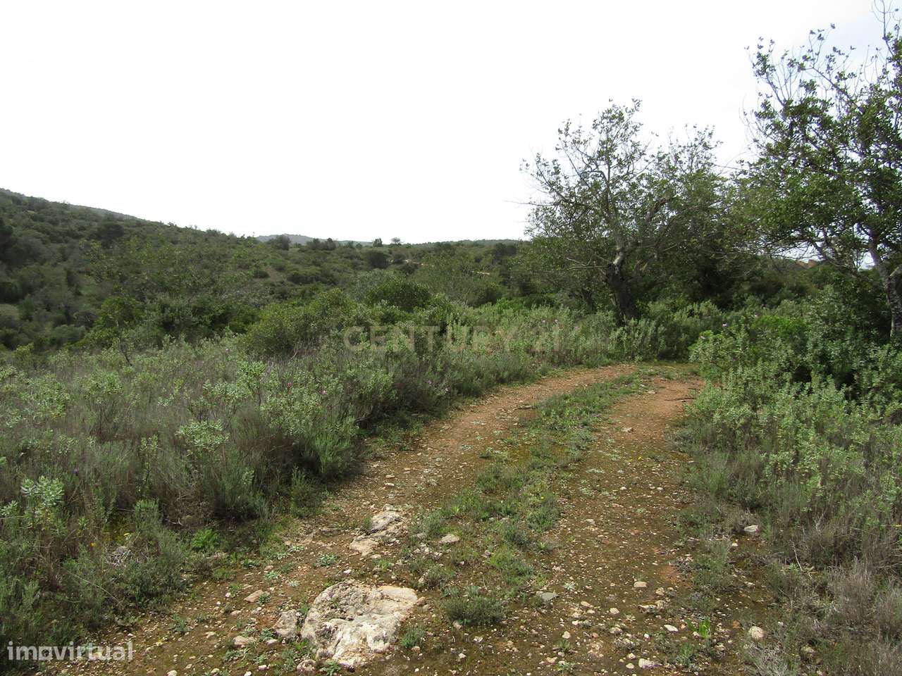 Terreno Agrícola em Albufeira - 81.680m² com Vista Campestre - Grande imagem: 4/10