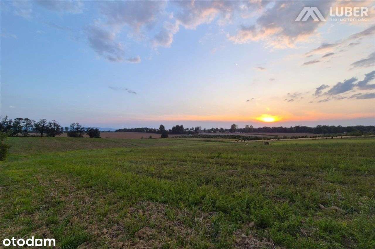 Uzbrojona i widokowa działka w Pisarzowicach-9