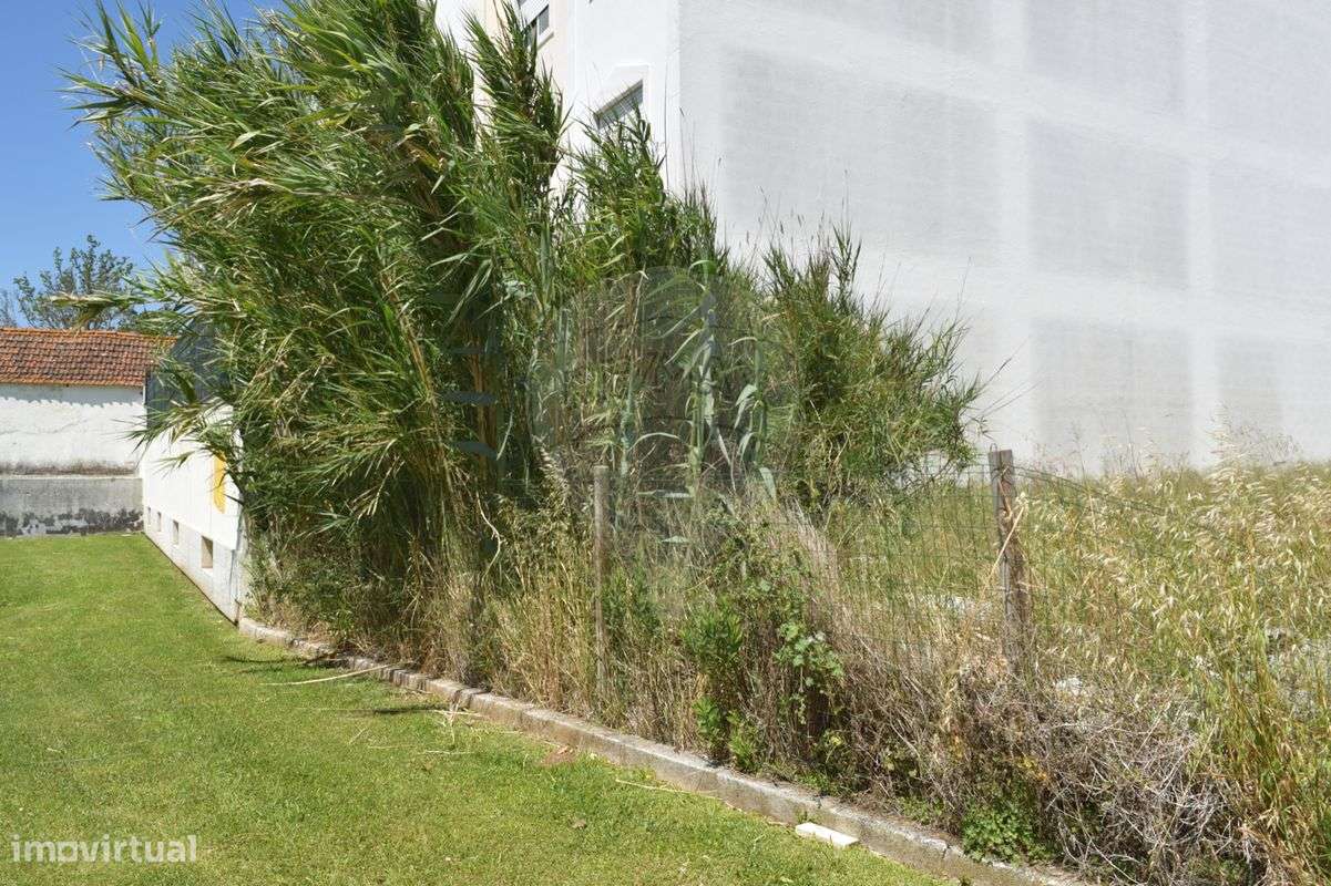 Terreno  para venda - Grande imagem: 5/6