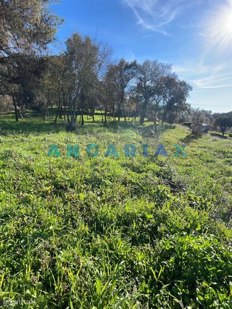 ANG1540 - Terreno para Venda em Alviobeira, Tomar - Grande imagem: 2/5