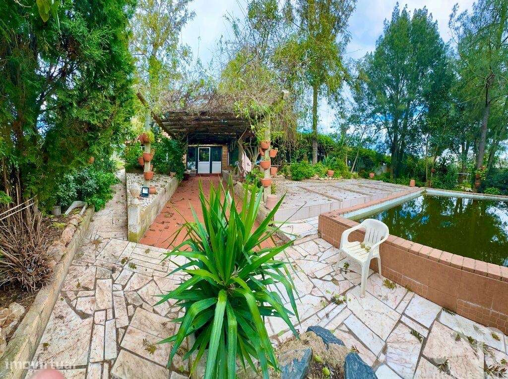 Terreno em Serpa - Grande imagem: 3/40